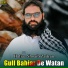 Hafiaz Shoaib Zadran