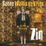 Bill Whelan - Riverdance