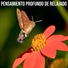 Music for body and spirit - Meditation music