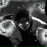 TEMOTSU