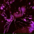 AUV ダーク, MR PHONKASTIK, PAPINXT