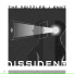 Dissident