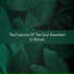 symphony orchestra sound of nature