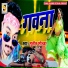 Sunil Soldier