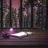 PINKISH00, Shy Claus