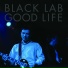Black Lab feat. Michael Belfer