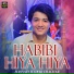 Hasnain Hyderi Chachar