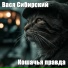 Вася Сибирский