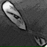 zhxnz