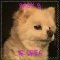 Dr Drea