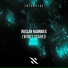 Ruslan Radriges