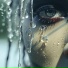 M3LADI