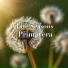 Five Seasons