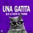 DJ Tony