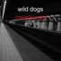 wild dogs