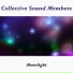 Collective Sound Members