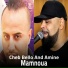 Cheb Bello, Cheb Amine