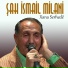 Şah İsmail Milani