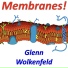 Glenn Wolkenfeld
