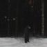 whyvsevolod