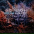 Christophe Calpini feat. Erik Truffaz, Mc Granite