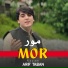 Arif Taban