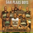 Saai Plaas Boys