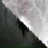 Treelounge, fyl0, lonelydope