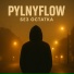 PylnyFlow