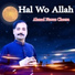 Ahmad Nawaz Cheena