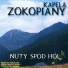 Kapela Zokopiany