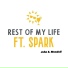 John E. Mendell feat. Spark