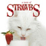 Strawbs 1973 All Our Own Work (recorded 1968)
