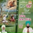 Karnail Jangla