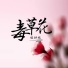 张妙格