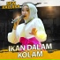 New Pallapa