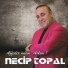 Necip Topal