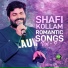 Shafi kollam