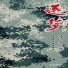 李龙