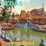 VEDAS VERSE