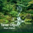 Taner Olgun