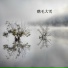 凤春萍