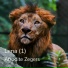 Afrodite Zegers
