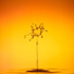 Nature Sounds Collection
