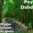 Pey Dalid