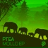 Ptea