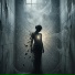 Alecto Veneris