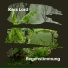 Kara Lord