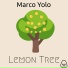 Marco Yolo