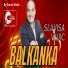 Slavisa Vujic